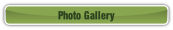 Photo Gallery.
