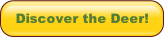 Discover the Deer!.