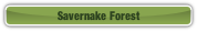 Savernake Forest.